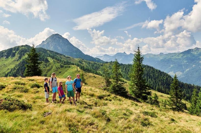 Hotel Alpina Клайнарль Экстерьер фото