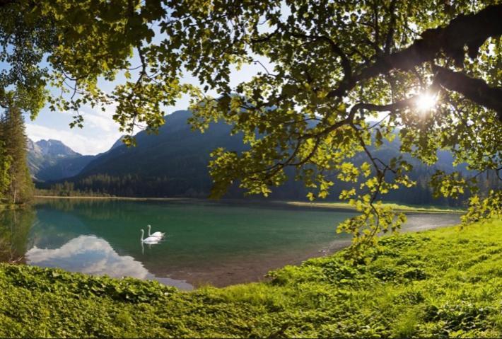 Hotel Alpina Клайнарль Экстерьер фото