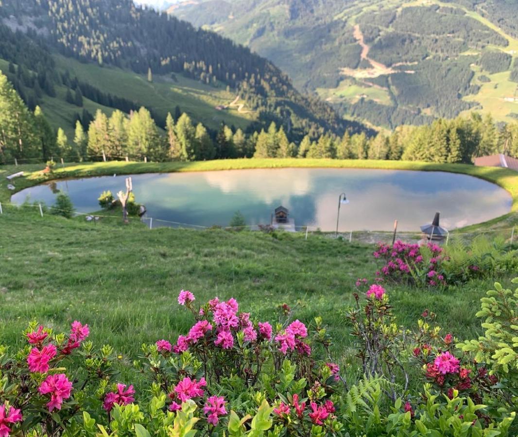 Hotel Alpina Клайнарль Экстерьер фото